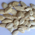 China Origin Cheap Price Factory Directly Sale 8.3-10mm Size Shine Skin Pumpkin Seeds